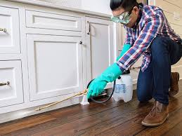 Best Residential Pest Control  in Christopher, IL